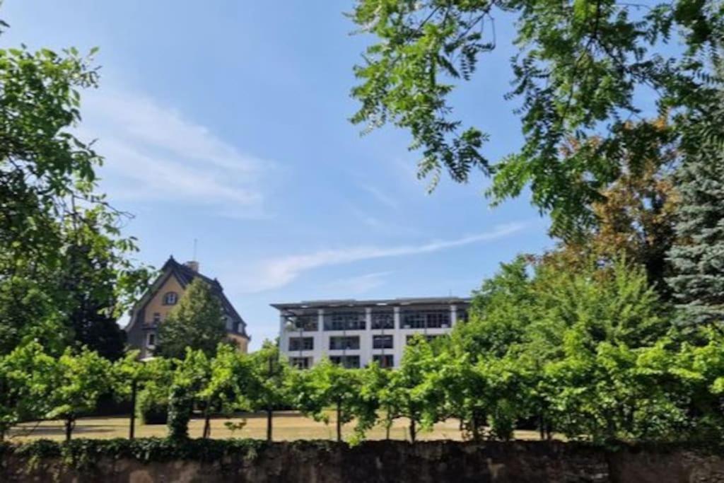Wohnwerk: Penthouse - Moselblick Apartment Traben-Trarbach Luaran gambar